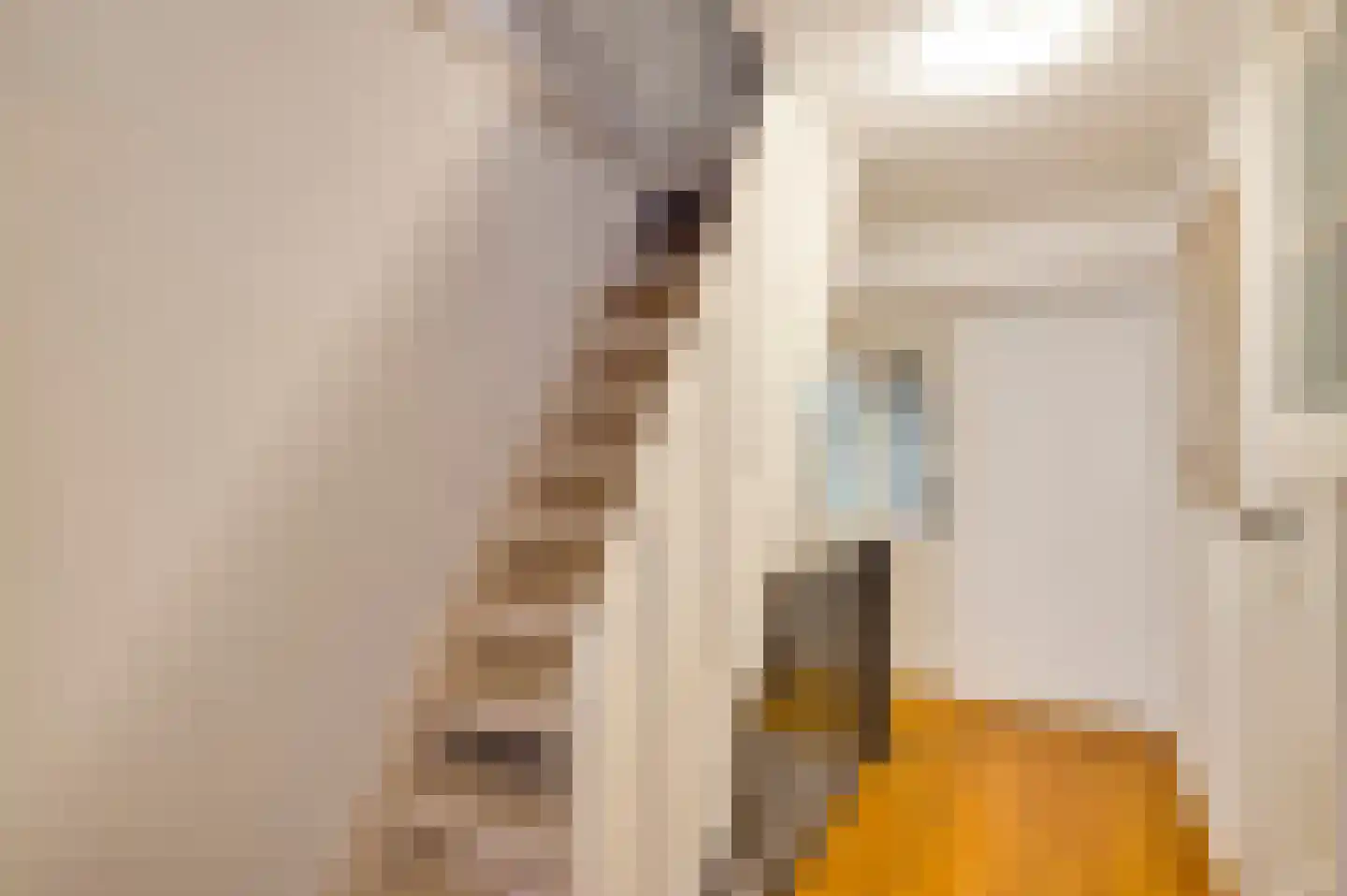 Minderbroedersstraat 7 Roermond thumbnail 28