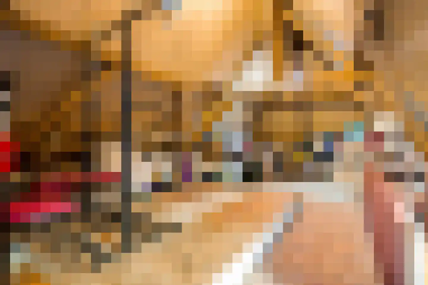 Minderbroedersstraat 7 Roermond thumbnail 39