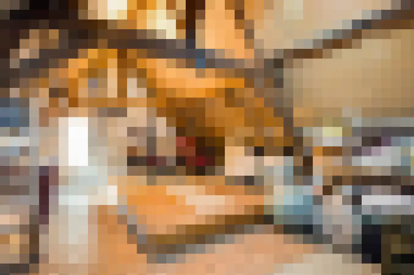 Minderbroedersstraat 7 Roermond thumbnail 40