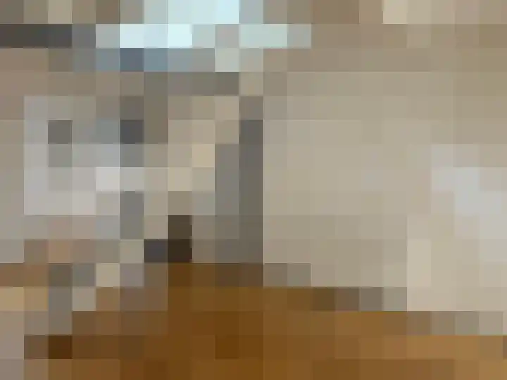 Minderbroederstraat 20 Zierikzee thumbnail 8