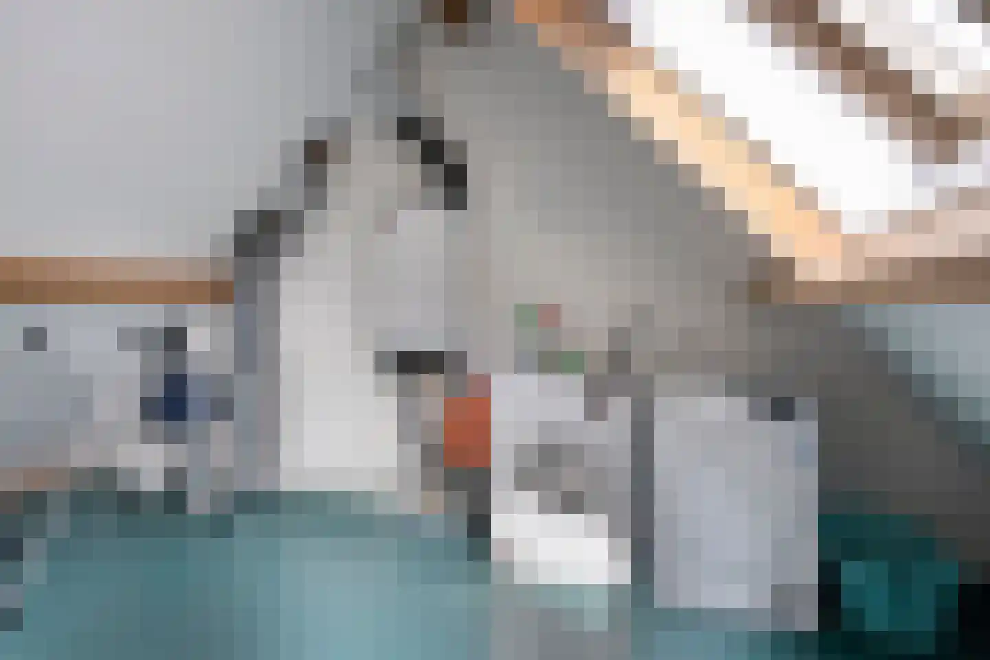 Minderbroederstraat 47 Zierikzee thumbnail 27