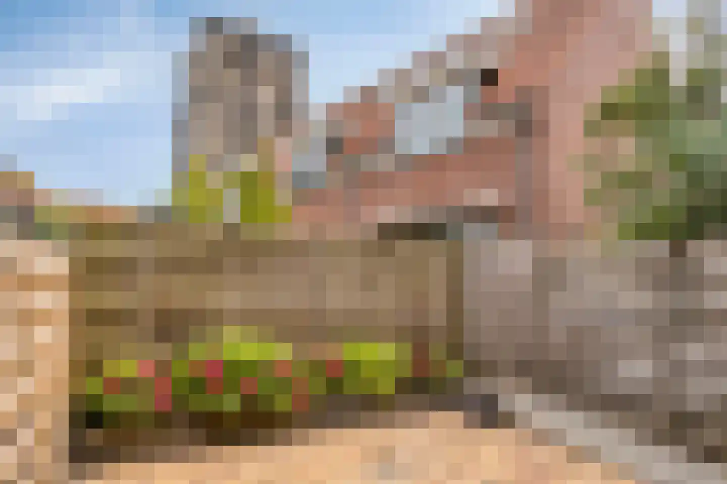 Minderbroederstraat 47 Zierikzee thumbnail 30