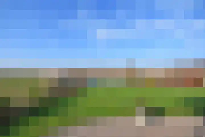 Mindertsfean 16 Earnewâld thumbnail 11