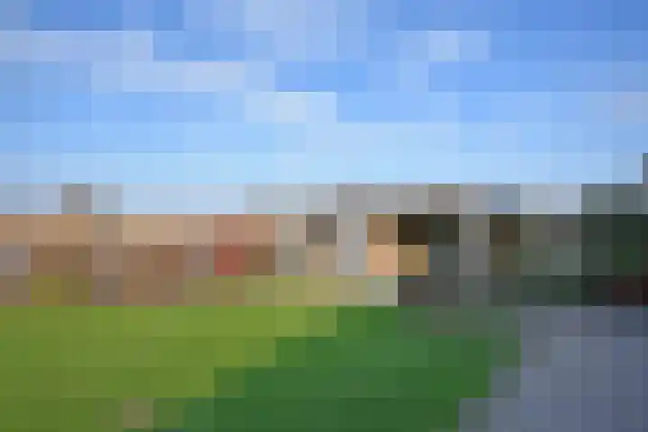 Mindertsfean 16 Earnewâld thumbnail 12