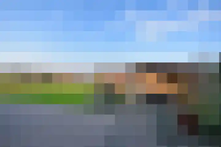 Mindertsfean 16 Earnewâld thumbnail 13