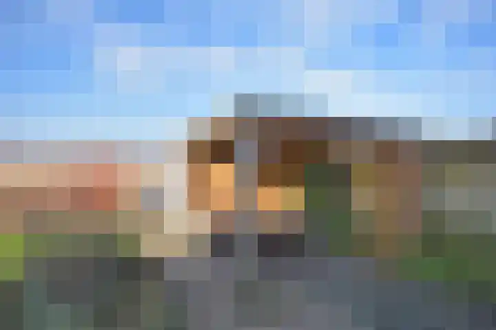Mindertsfean 16 Earnewâld thumbnail 14