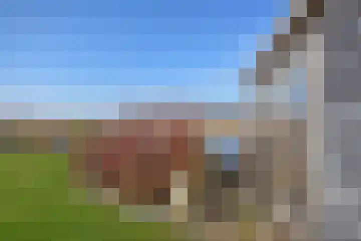 Mindertsfean 16 Earnewâld thumbnail 15