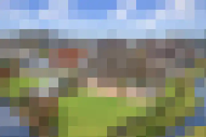 Mindertsfean 16 Earnewâld thumbnail 17