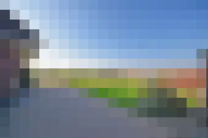 Mindertsfean 16 Earnewâld thumbnail 21