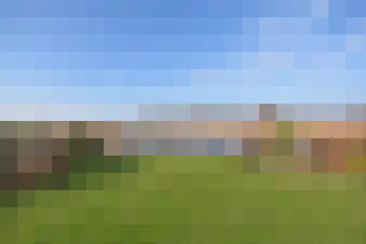 Mindertsfean 16 Earnewâld thumbnail 22