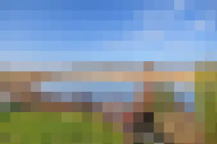Mindertsfean 16 Earnewâld thumbnail 23