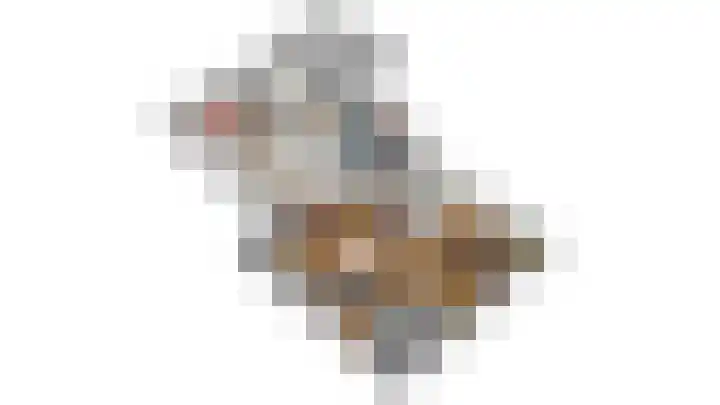 Mindertsfean 16 Earnewâld thumbnail 24