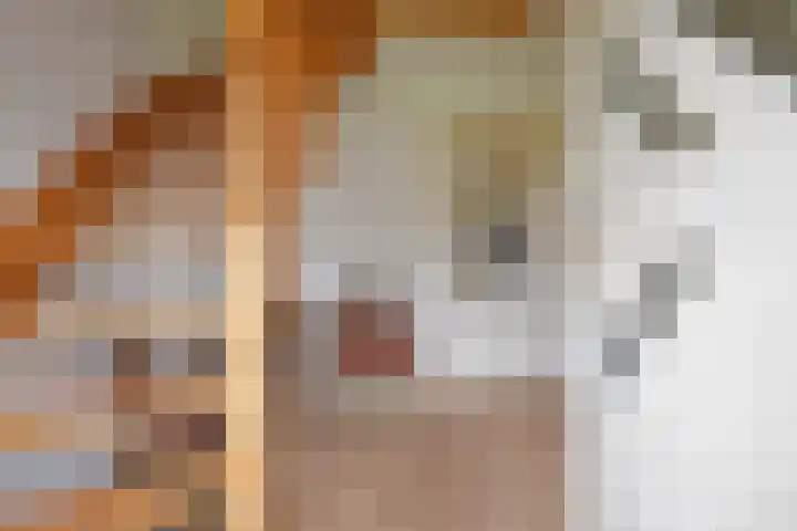 Mindertsfean 16 Earnewâld thumbnail 25