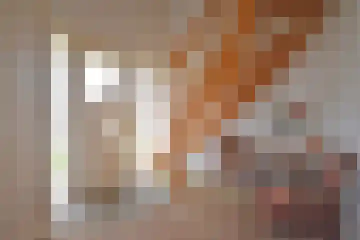 Mindertsfean 16 Earnewâld thumbnail 26