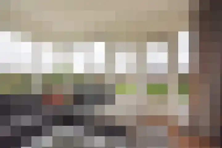 Mindertsfean 16 Earnewâld thumbnail 35