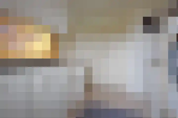Mindertsfean 16 Earnewâld thumbnail 45