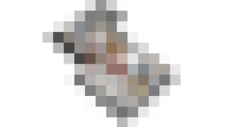 Mindertsfean 16 Earnewâld thumbnail 52