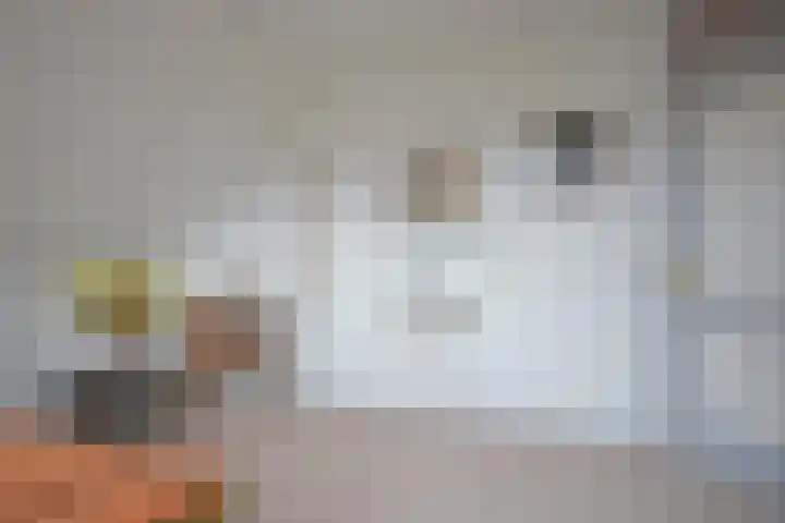 Mindertsfean 16 Earnewâld thumbnail 59