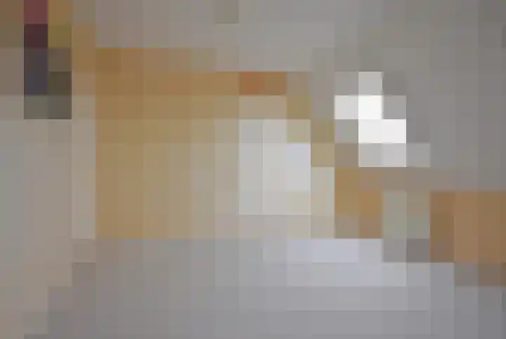 Mindertsfean 16 Earnewâld thumbnail 69