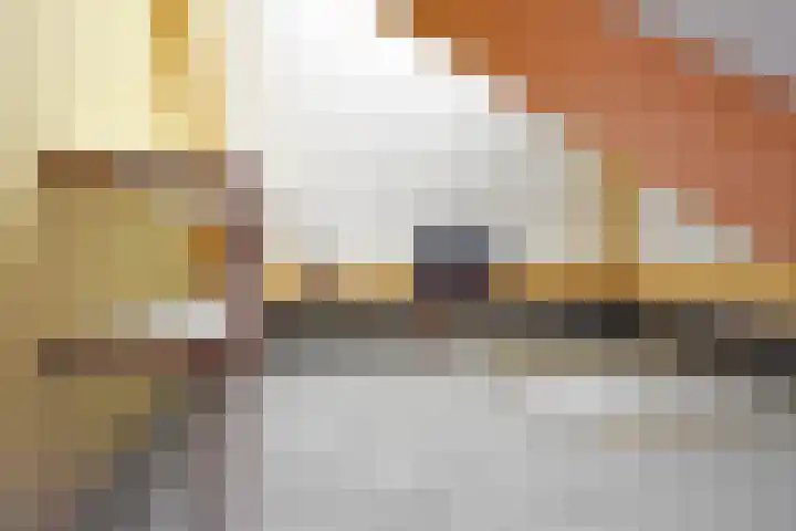 Mindertsfean 16 Earnewâld thumbnail 72
