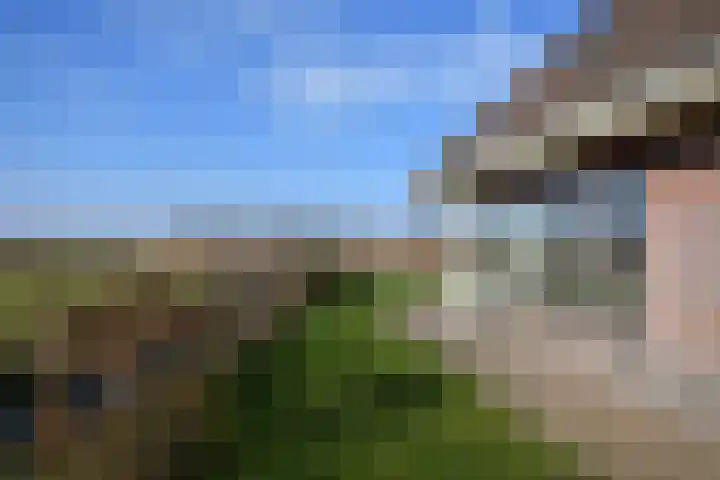 Mindertsfean 16 Earnewâld thumbnail 9