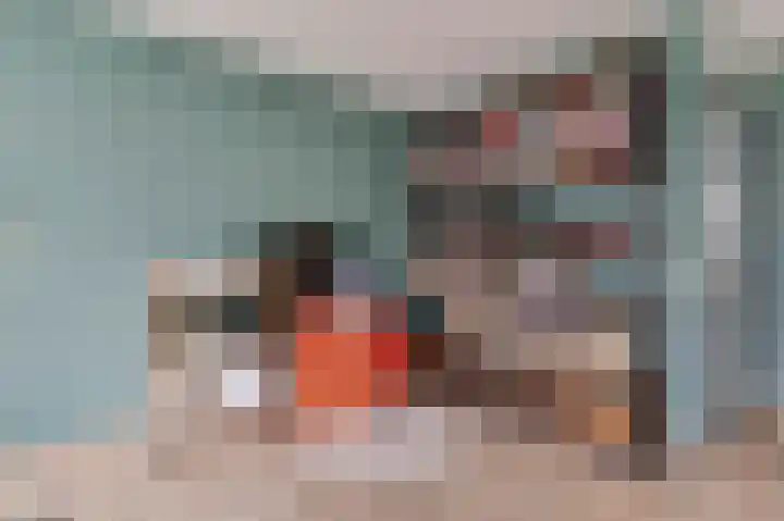 Minerva 10 Wijk bij Duurstede thumbnail 12