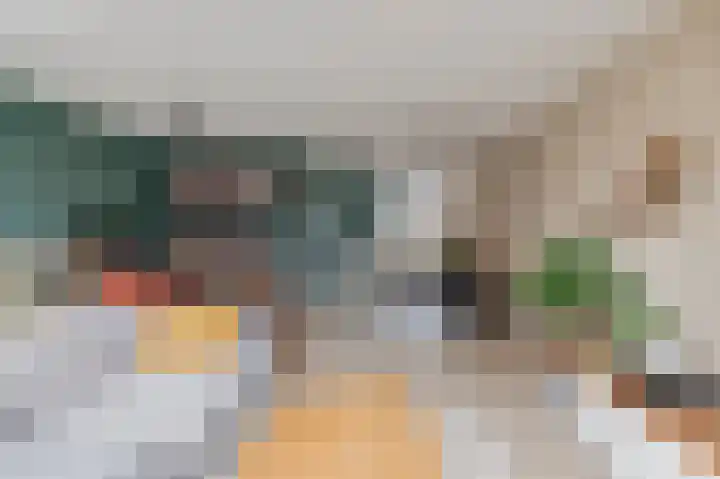 Minerva 10 Wijk bij Duurstede thumbnail 13