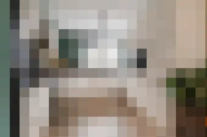 Minerva 10 Wijk bij Duurstede thumbnail 17