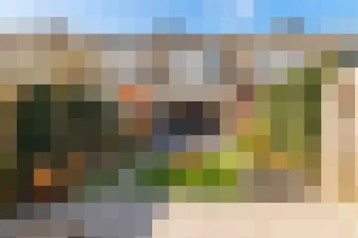 Minerva 10 Wijk bij Duurstede thumbnail 19