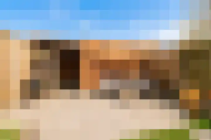 Minerva 10 Wijk bij Duurstede thumbnail 22