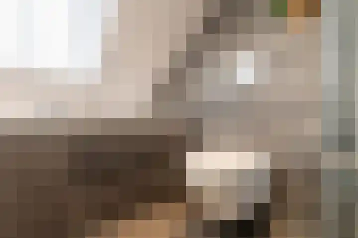 Minerva 10 Wijk bij Duurstede thumbnail 37
