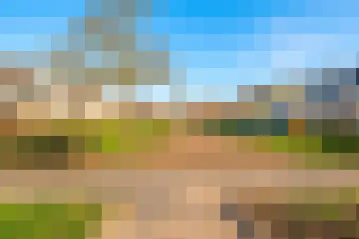 Minerva 10 Wijk bij Duurstede thumbnail 44