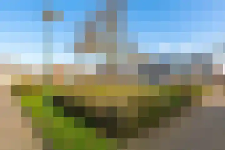 Minerva 10 Wijk bij Duurstede thumbnail 45