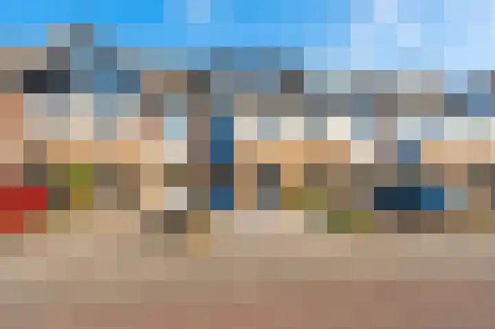 Minerva 10 Wijk bij Duurstede thumbnail 47