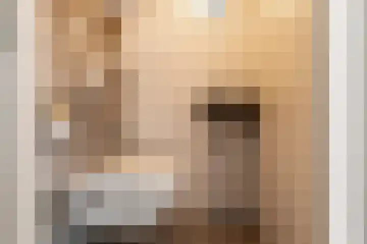 Minerva 10 Wijk bij Duurstede thumbnail 5