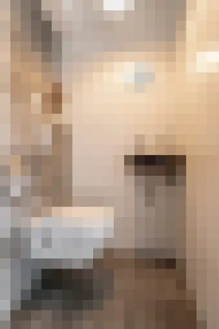 Minerva 10 Wijk bij Duurstede thumbnail 6