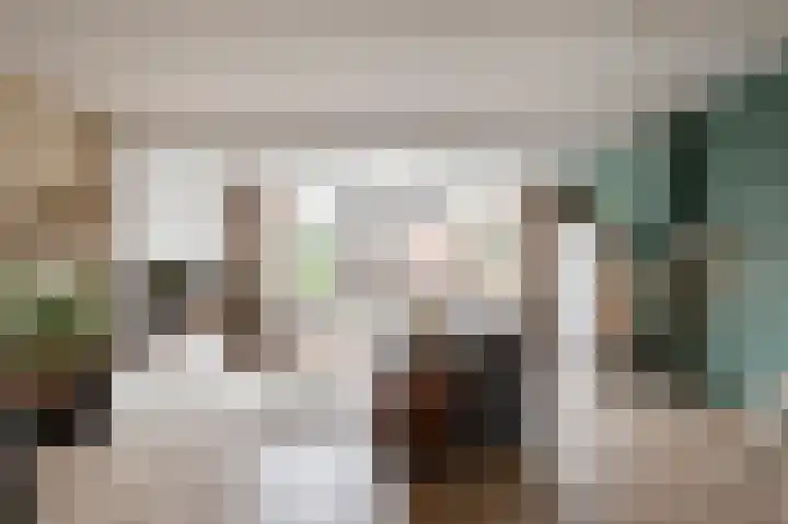 Minerva 10 Wijk bij Duurstede thumbnail 8