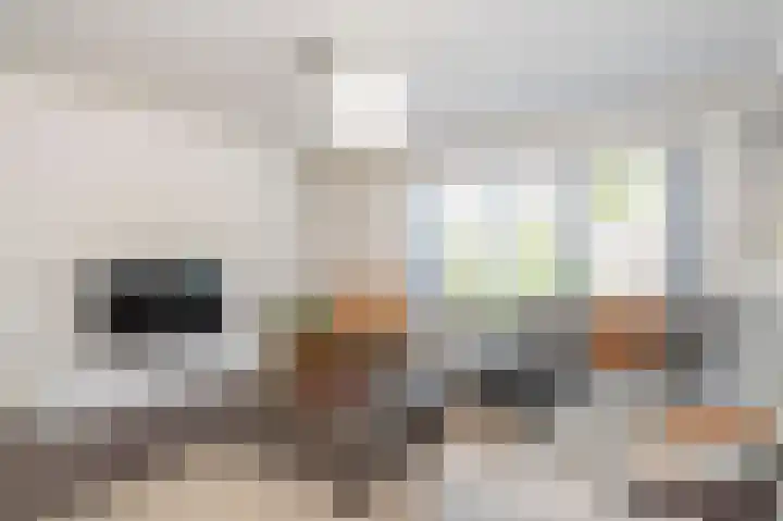 Minerva 21 Born thumbnail 10