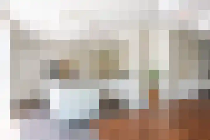 Minerva 21 Born thumbnail 14