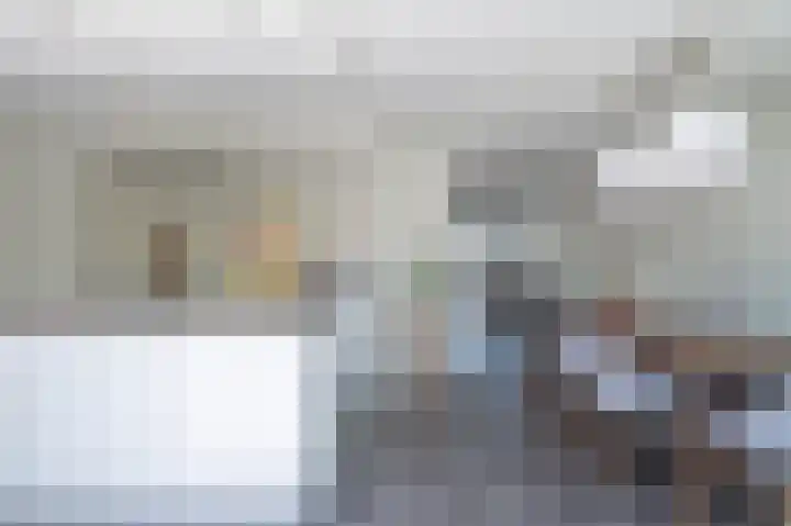 Minerva 21 Born thumbnail 18