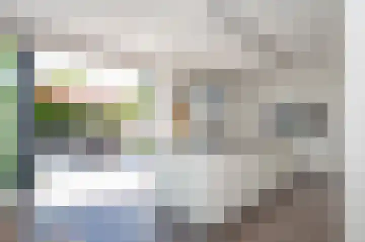 Minerva 21 Born foto 2