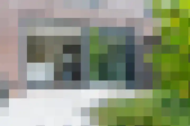 Minerva 21 Born thumbnail 23