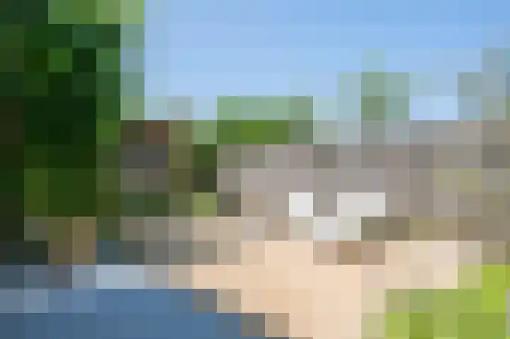 Minerva 21 Born thumbnail 24