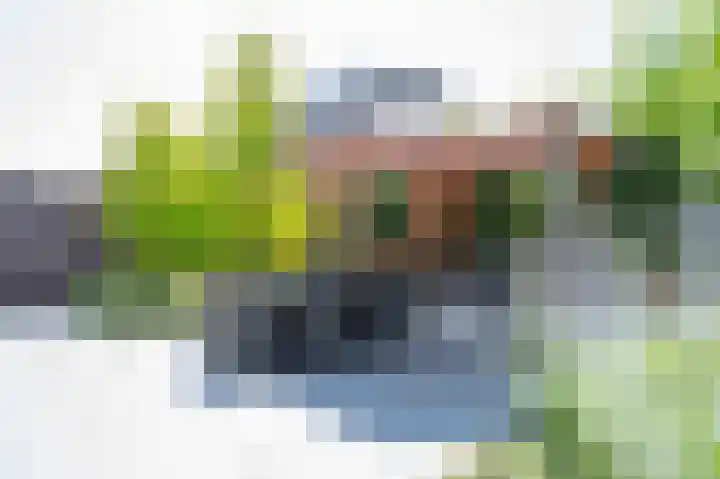 Minerva 21 Born thumbnail 26