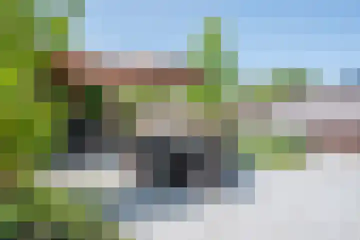 Minerva 21 Born thumbnail 27