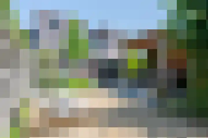 Minerva 21 Born foto 3