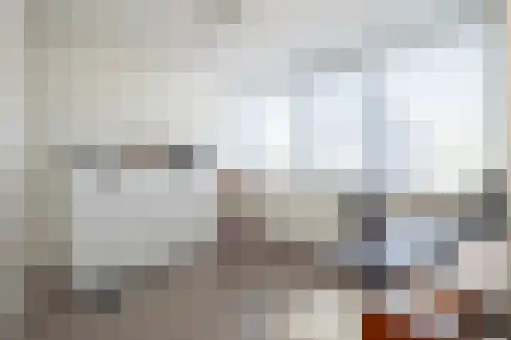 Minerva 21 Born thumbnail 30