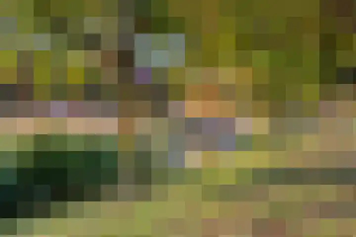 Minerva 21 Born thumbnail 35