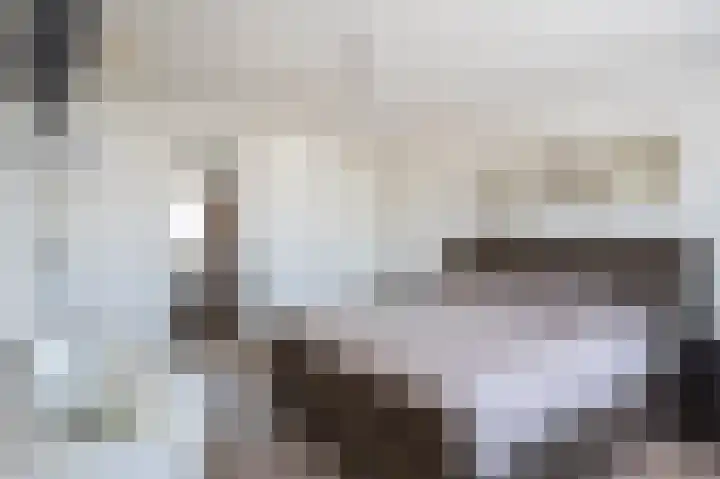 Minerva 21 Born thumbnail 39