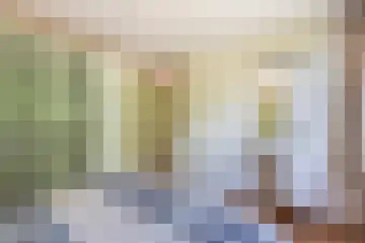 Minerva 21 Born thumbnail 4